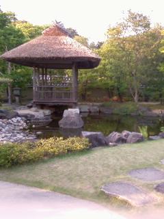 retour au jardin du kou kohen