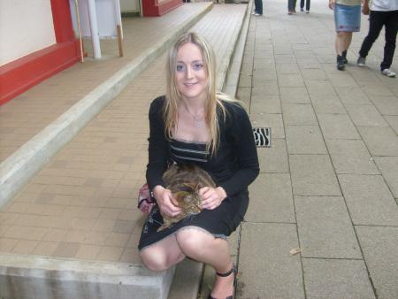 un gros chat